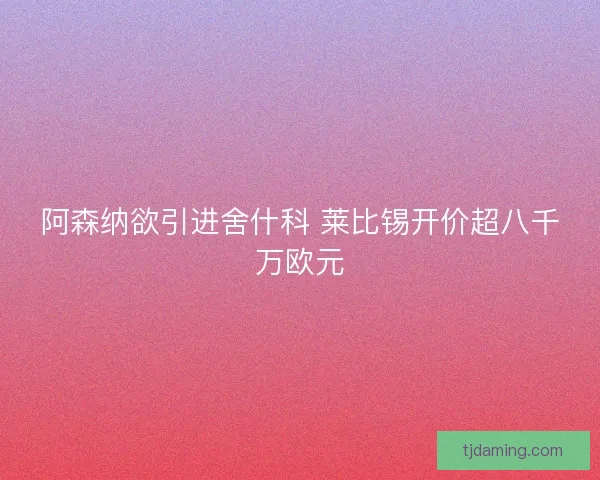 阿森纳欲引进舍什科 莱比锡开价超八千万欧元