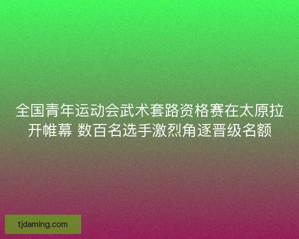 全国青年运动会武术套路资格赛在太原拉开帷幕 数百名选手激烈角逐晋级名额 全国青年运动会武术套路资格赛在太原拉开帷幕 数百名选手激烈角逐晋级名额