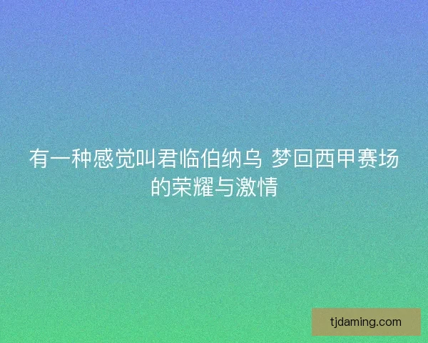 有一种感觉叫君临伯纳乌 梦回西甲赛场的荣耀与激情 有一种感觉叫君临伯纳乌 梦回西甲赛场的荣耀与激情