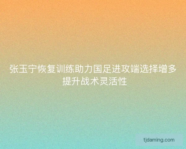 张玉宁恢复训练助力国足进攻端选择增多 提升战术灵活性 张玉宁恢复训练助力国足进攻端选择增多 提升战术灵活性